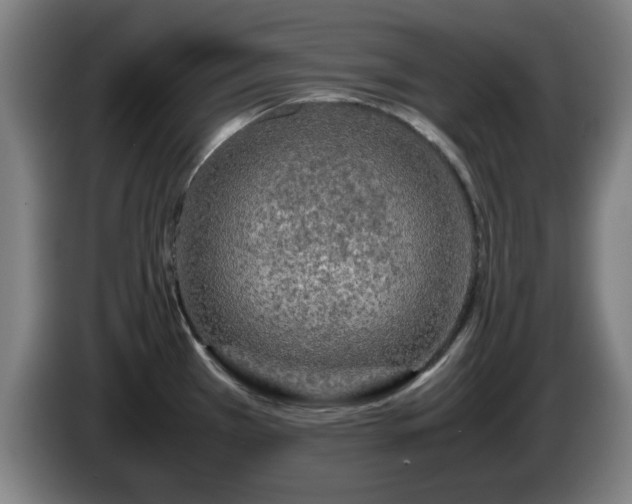 X0000086091385200703301141