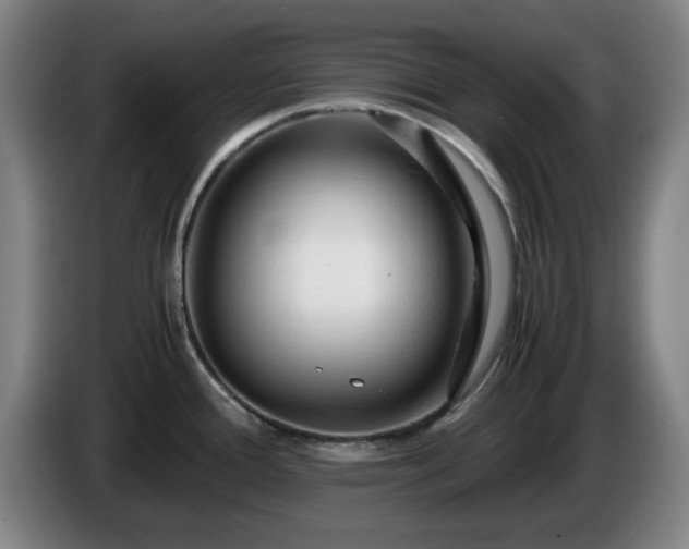 X0000086091388200703301141