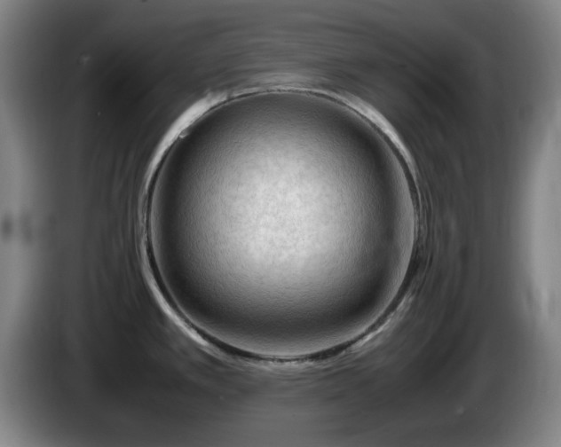 X0000086091389200703301141