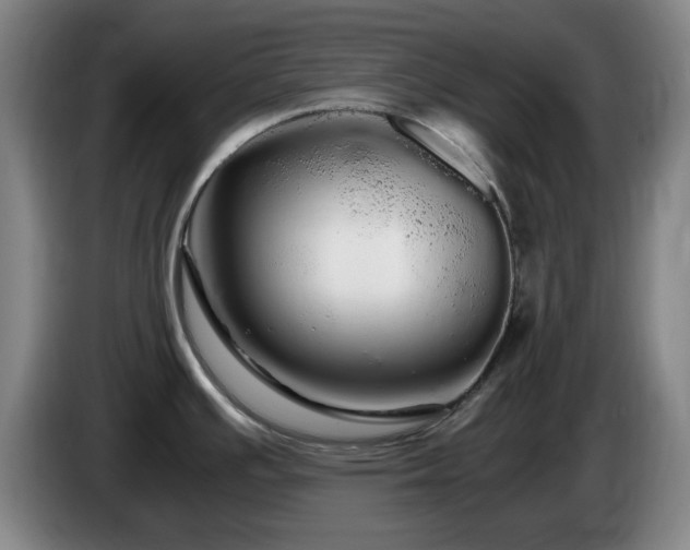 X0000086091391200703301141