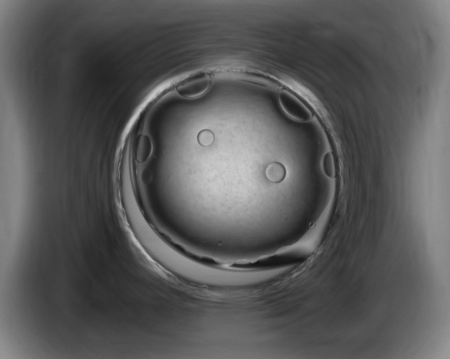 X0000086091392200703301141