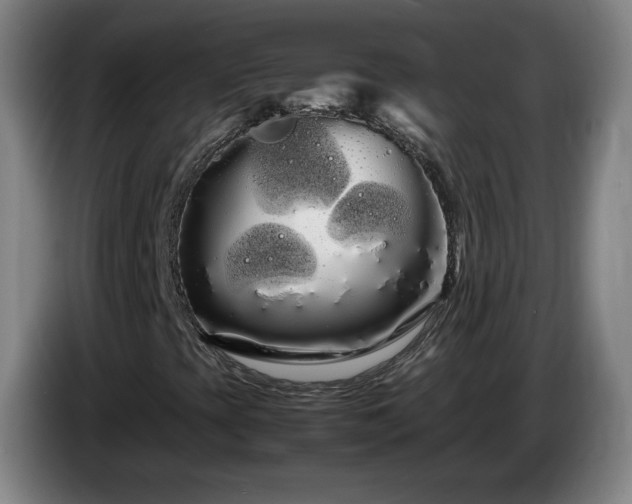 X0000086091393200703301140