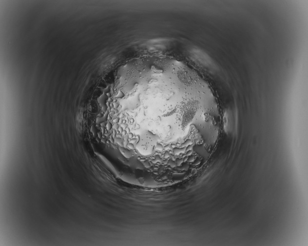 X0000086091395200703301140