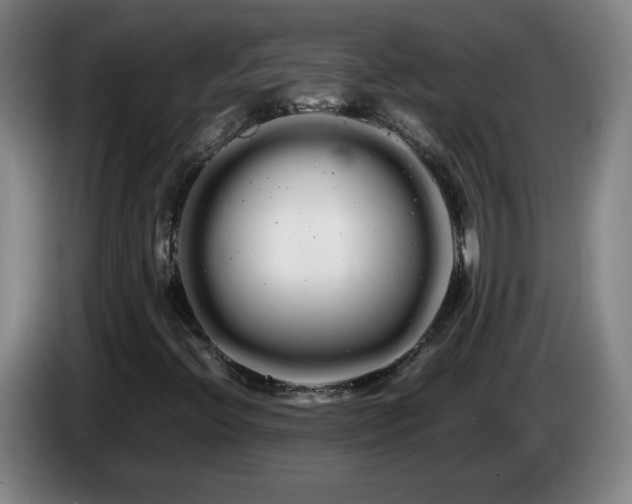 X0000086091396200703301140