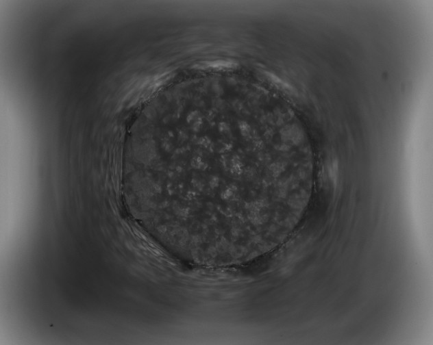 X0000086091397200703301140