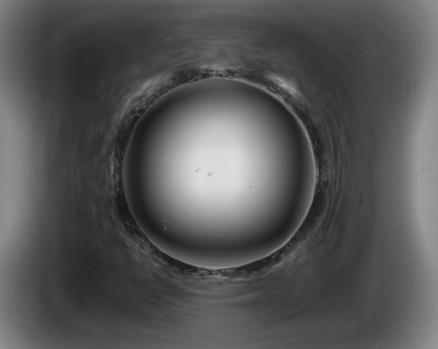 X0000086091398200703301140