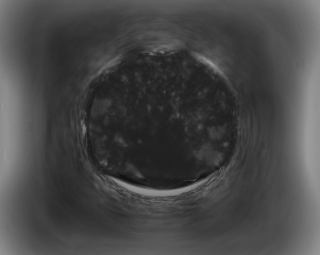 X0000086091399200703301140