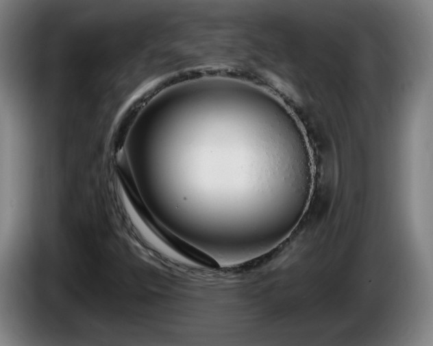 X0000086091400200703301140