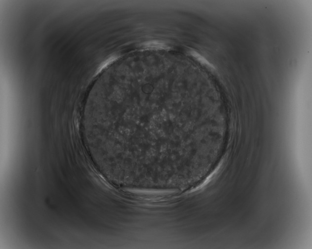 X0000086091401200703301140