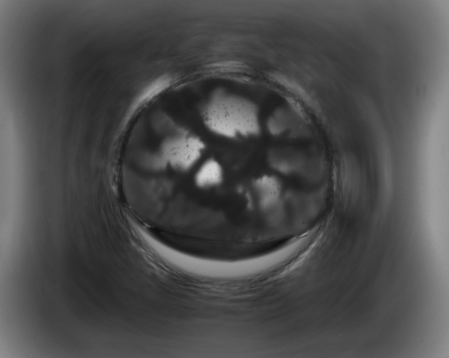 X0000086091405200703301140