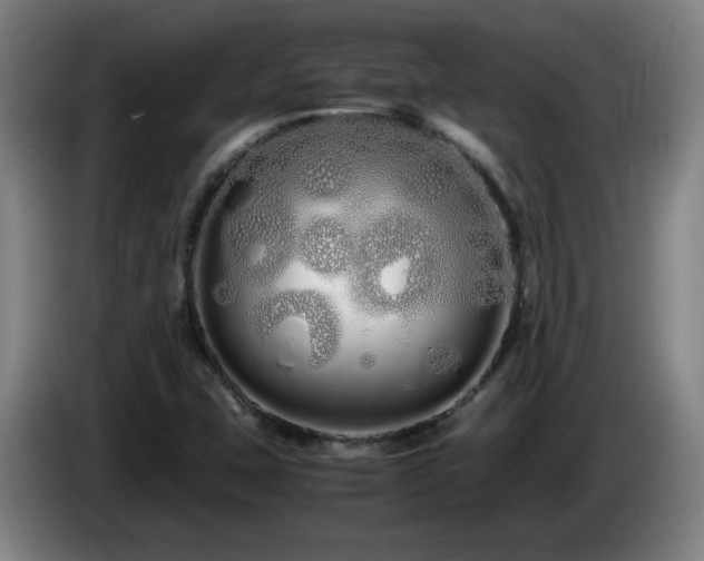 X0000086091407200703301141