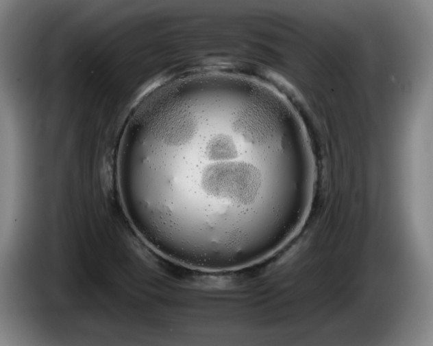 X0000086091409200703301141