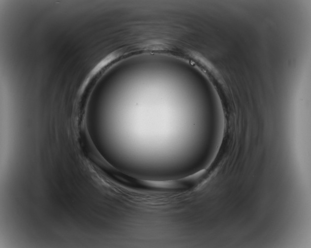 X0000086091410200703301141