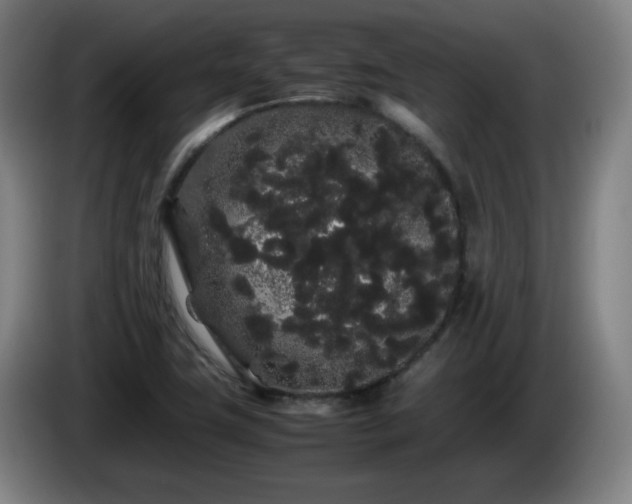 X0000086091411200703301141