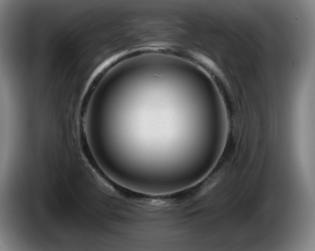 X0000086091412200703301141