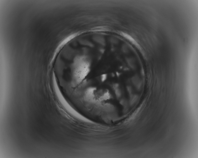 X0000086091413200703301141