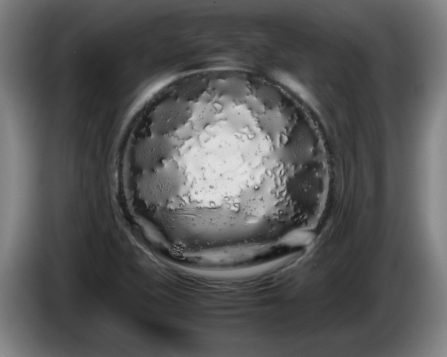 X0000086091415200703301141