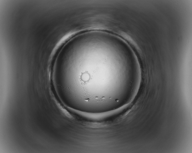 X0000086091416200703301141