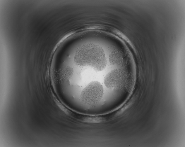 X0000086091417200703301141