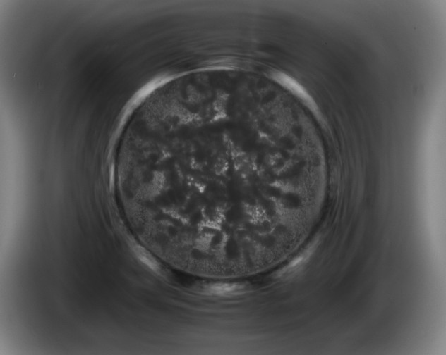 X0000086091419200703301141