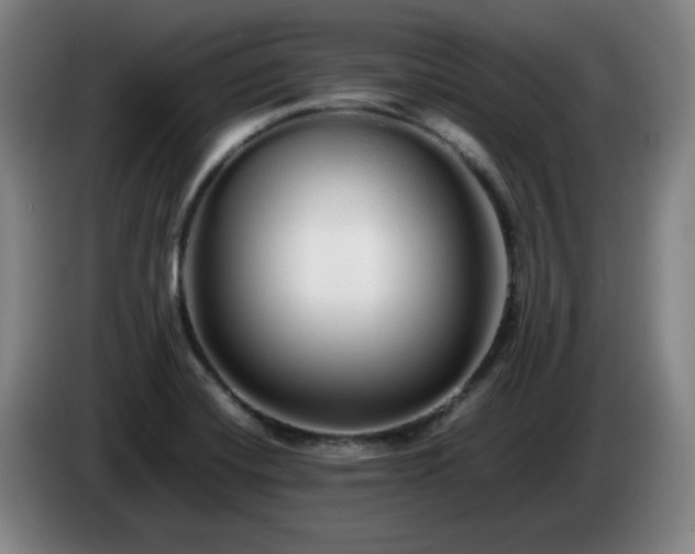 X0000086091420200703301141