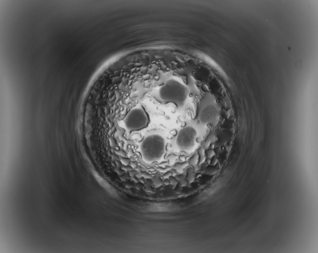 X0000086091421200703301141