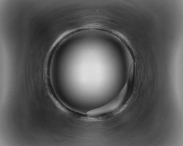 X0000086091422200703301141