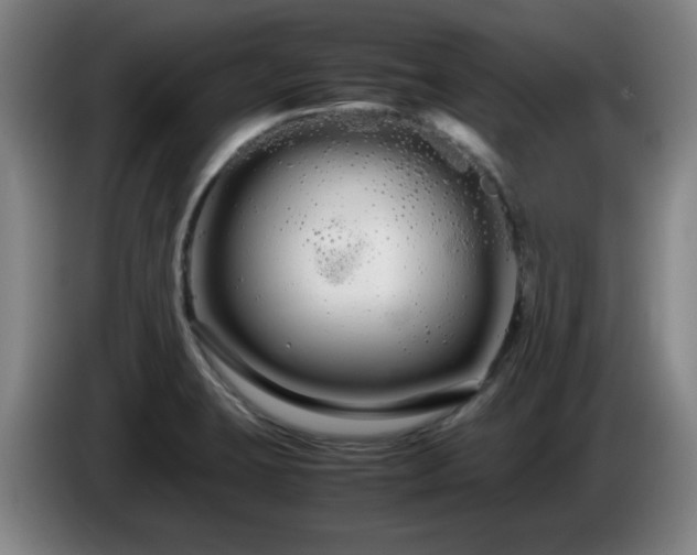 X0000086091423200703301141