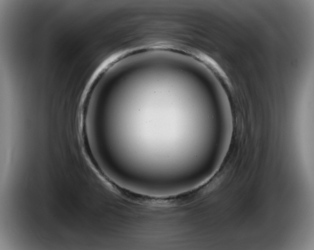 X0000086091424200703301141