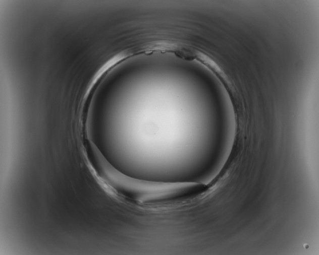 X0000086091426200703301141