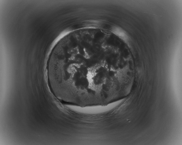 X0000086091427200703301141