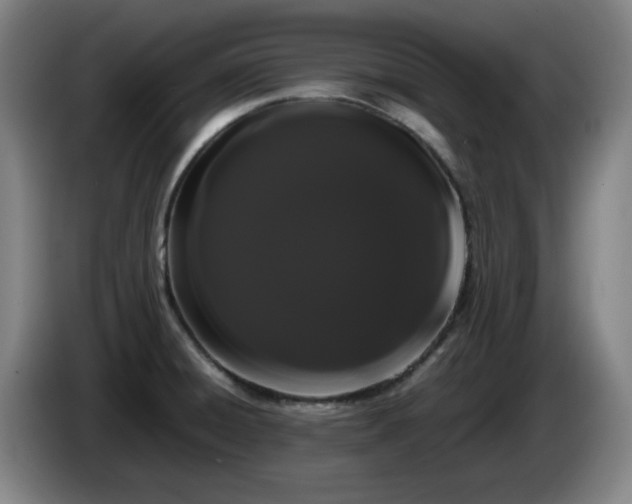 X0000086091428200703301141