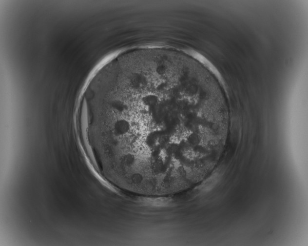 X0000086091429200703301141