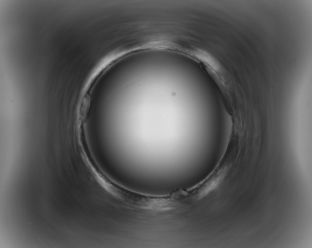 X0000086091430200703301141