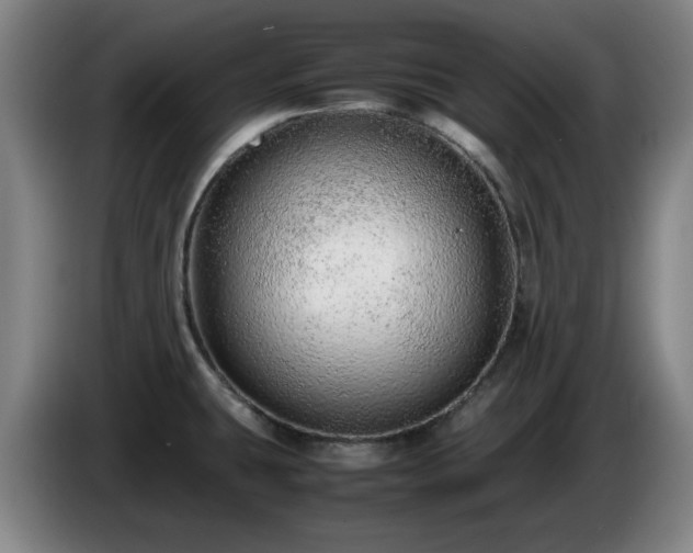 X0000086091431200703301141