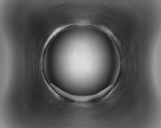 X0000086091432200703301141