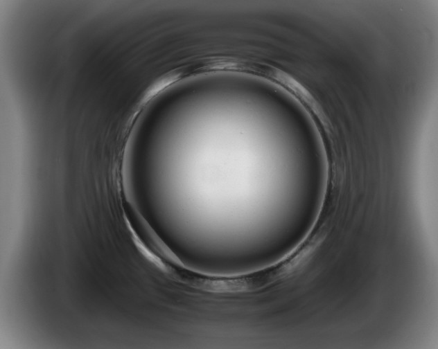 X0000086091433200703301141