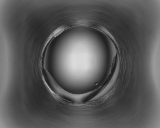 X0000086091434200703301141