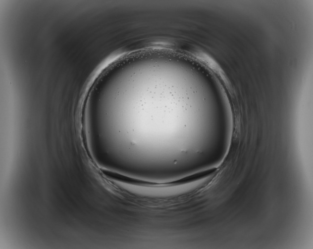 X0000086091435200703301141