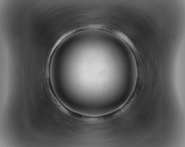 X0000086091436200703301141