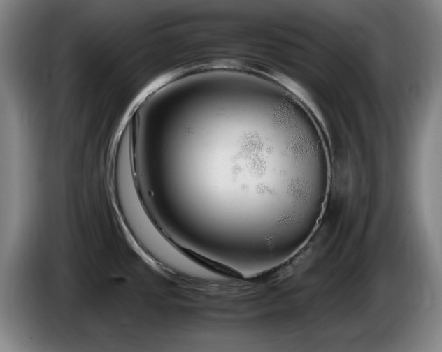 X0000086091437200703301141