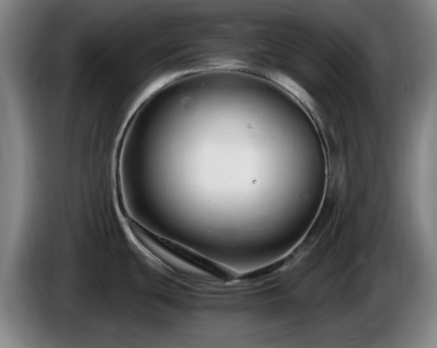 X0000086091439200703301141