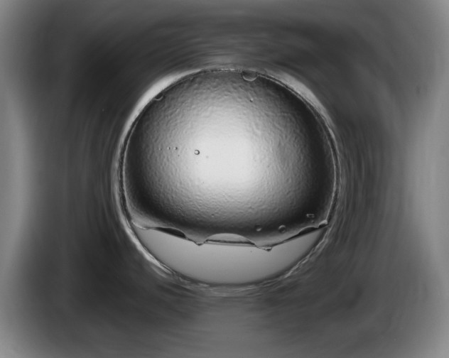 X0000086091440200703301141