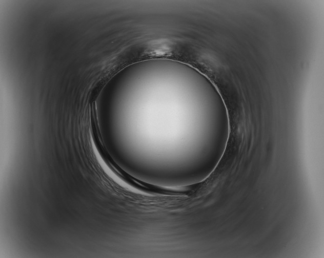 X0000086091442200703301140