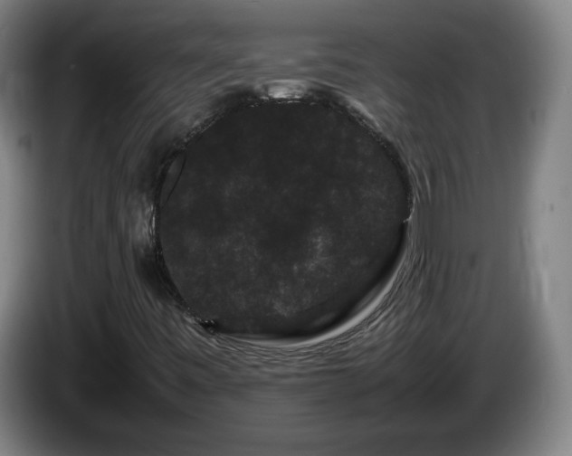 X0000086091443200703301140