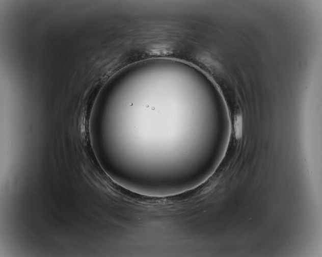 X0000086091444200703301140