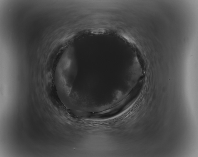 X0000086091445200703301140