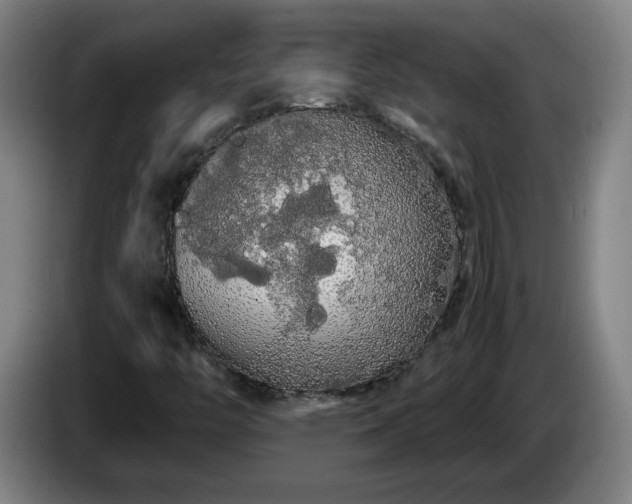 X0000086091446200703301140