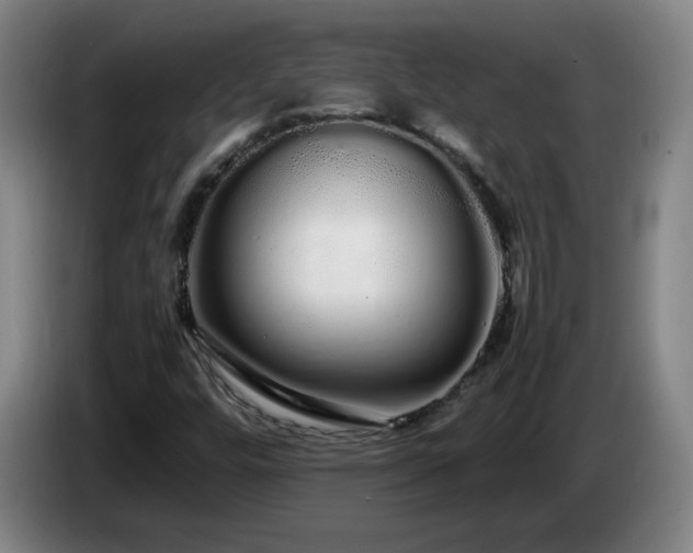 X0000086091448200703301140