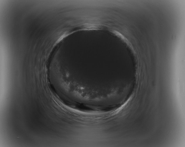 X0000086091449200703301140